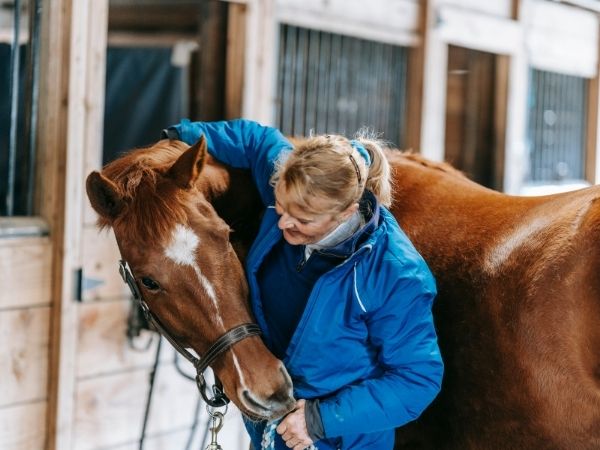 Naucz się dbać o konie