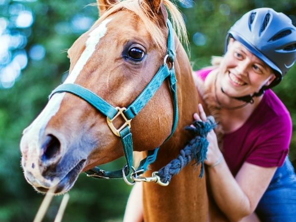Przewodnik dla początkujących w jeździe konnej: Wskazówki na drodze do sukcesu